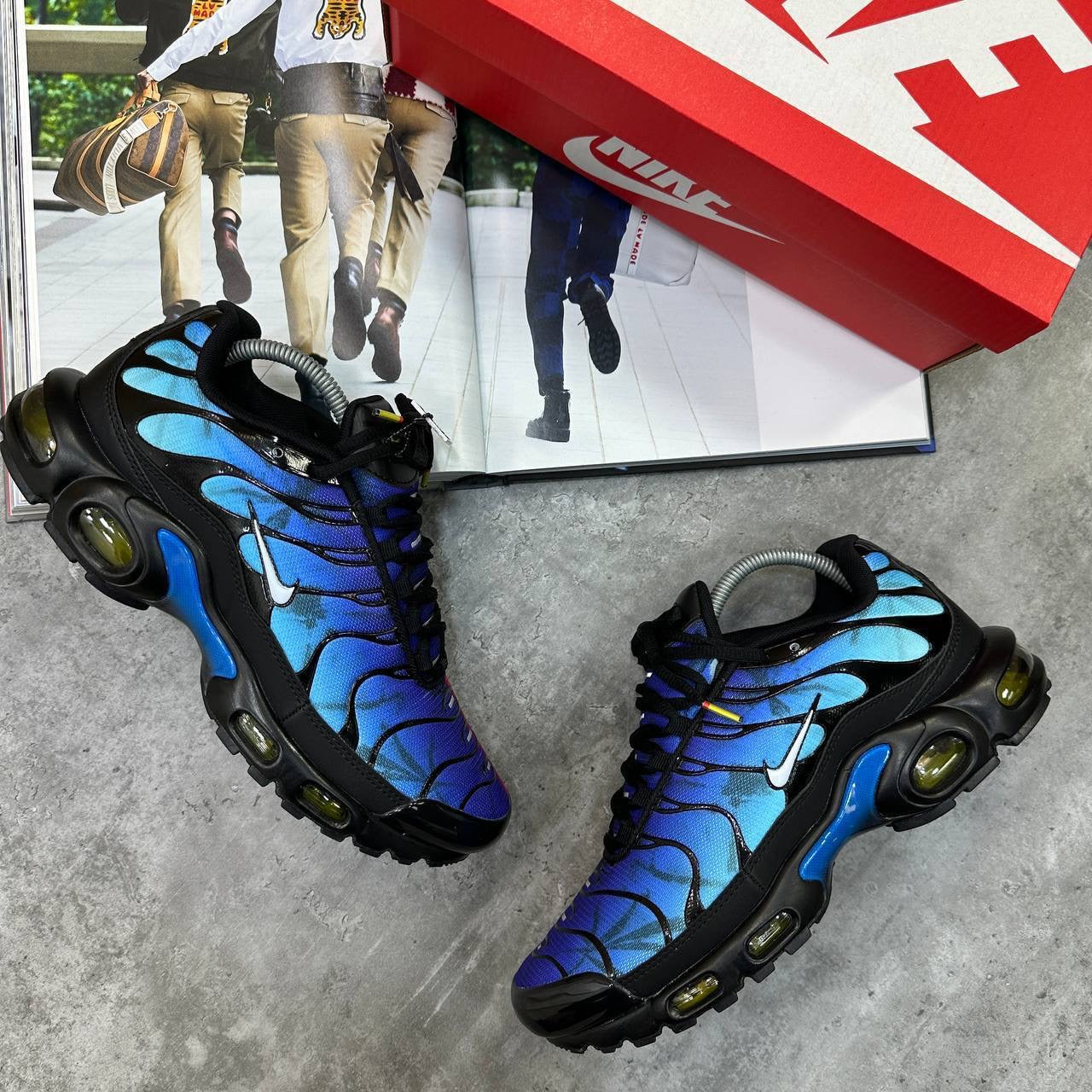 TN Trainers
