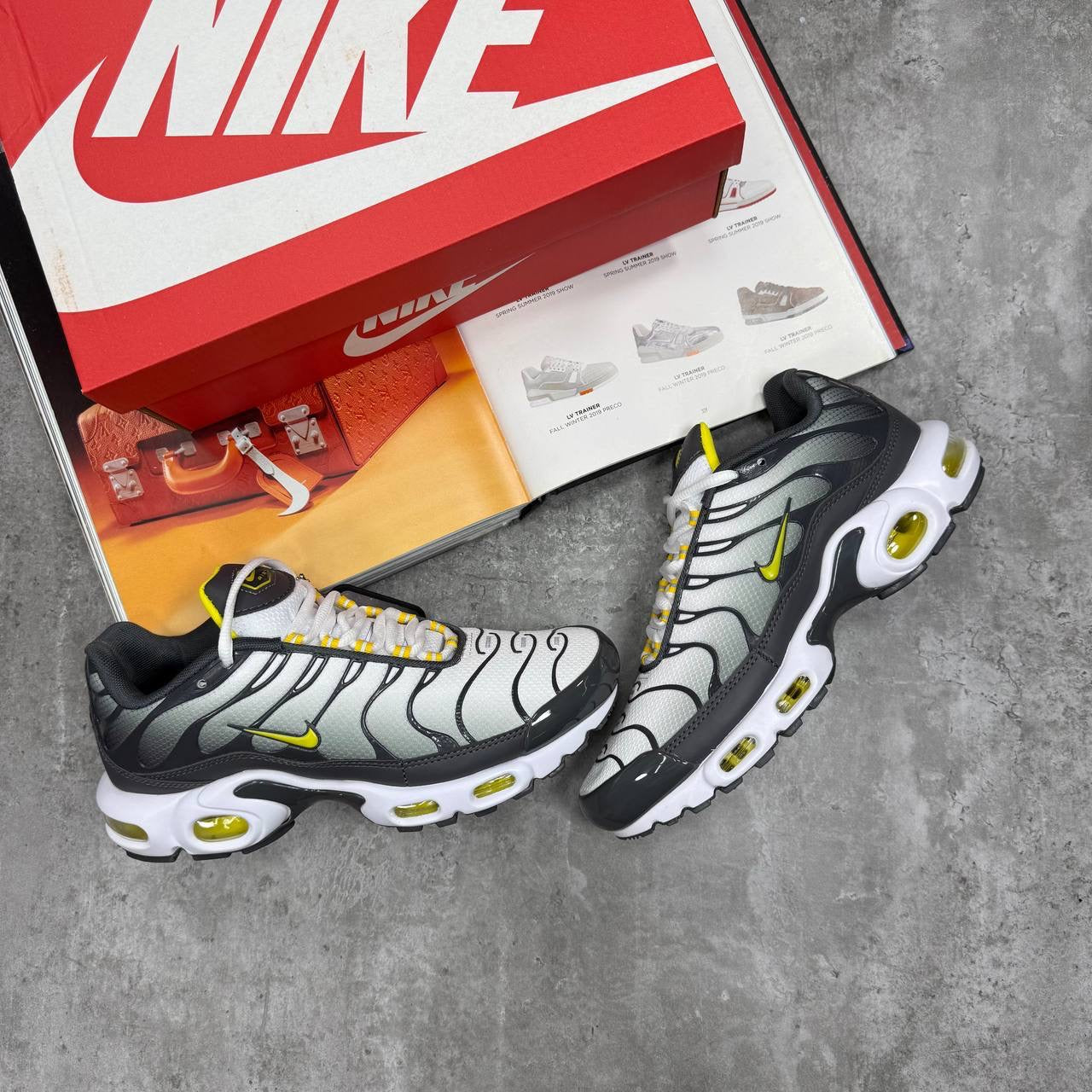 TN Trainers