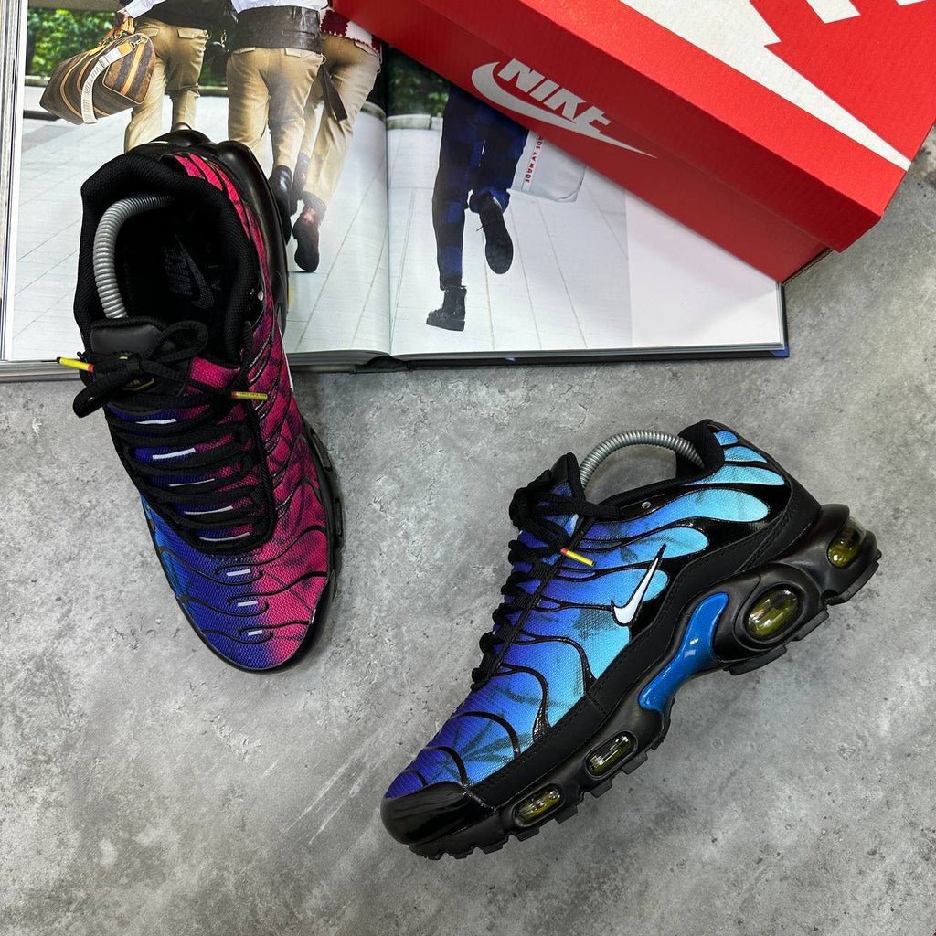 TN Trainers