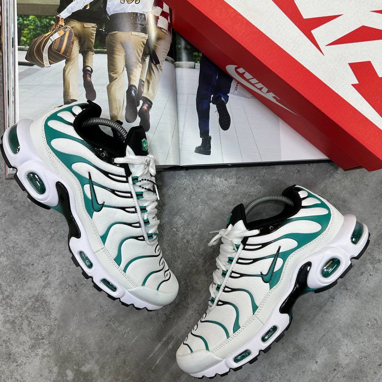 TN Trainers