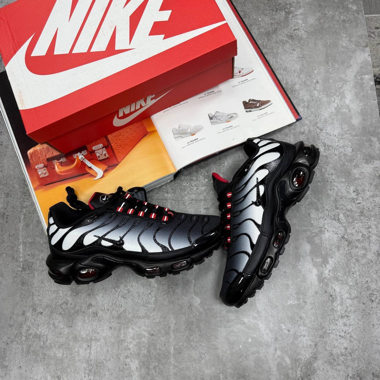 TN Trainers