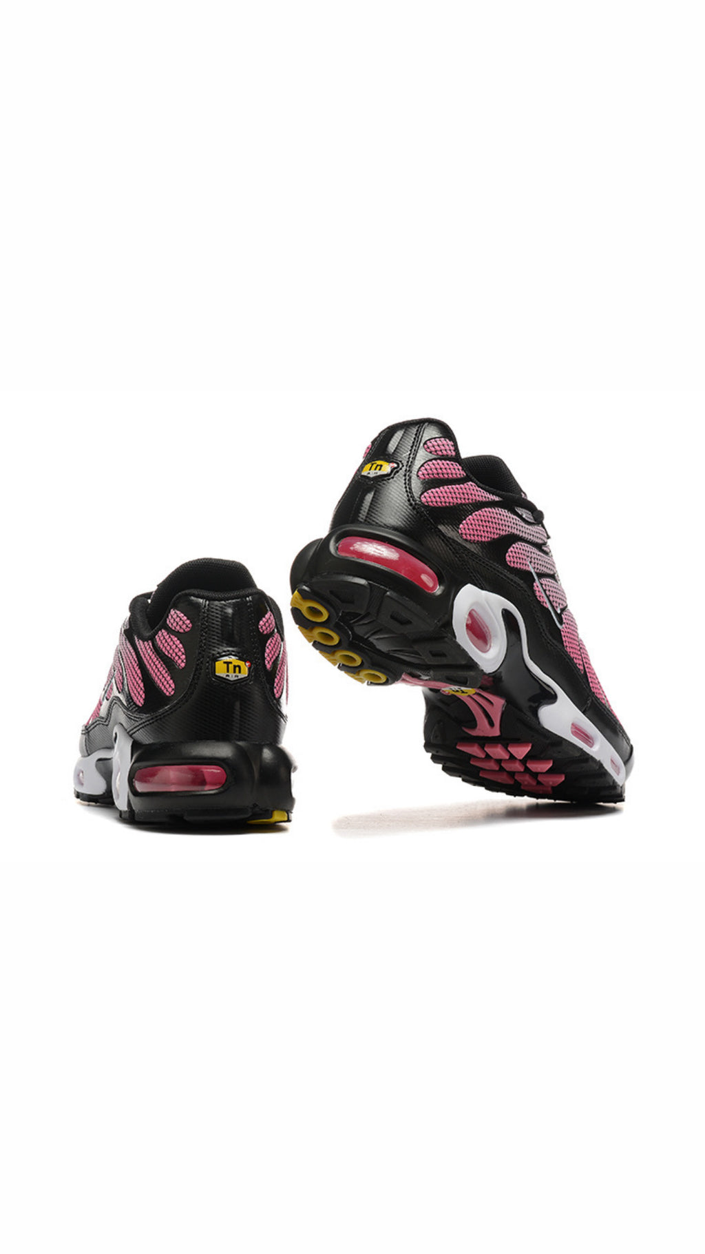 TN Trainers