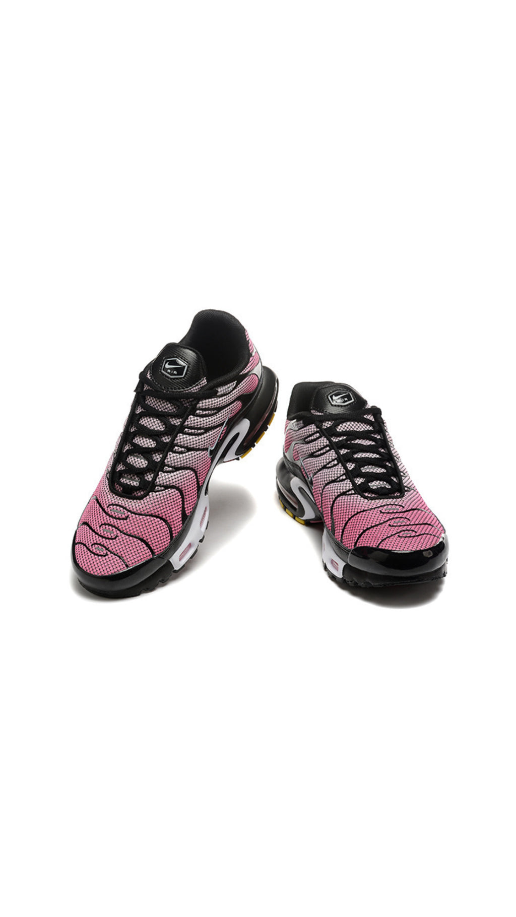 TN Trainers