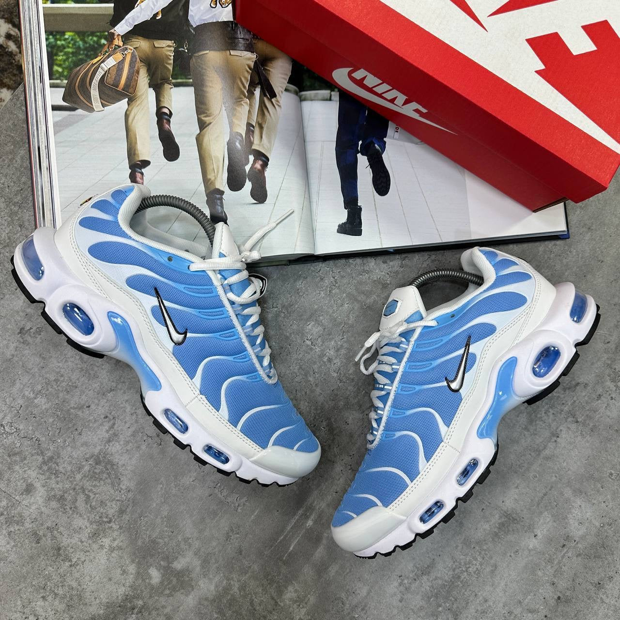 TN Trainers