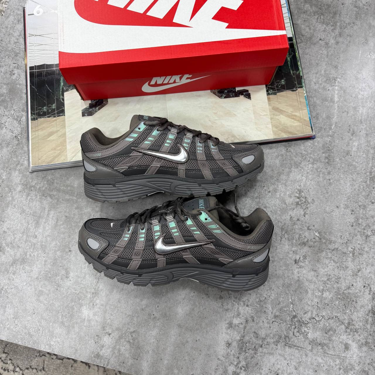 P6 Trainers