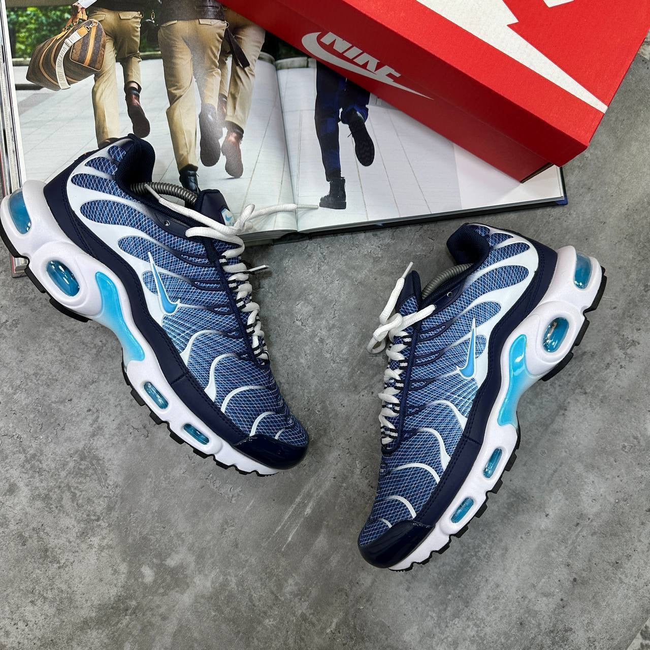 TN Trainers