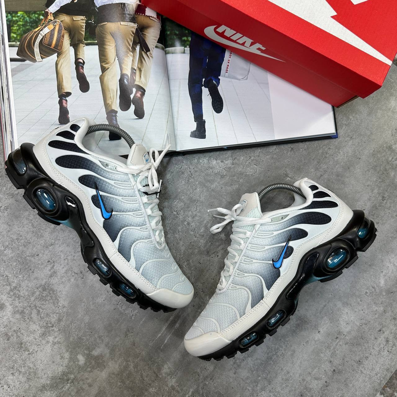 TN Trainers