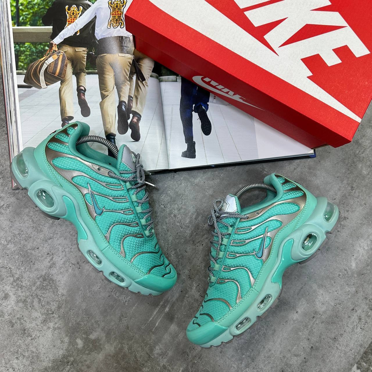 TN Trainers
