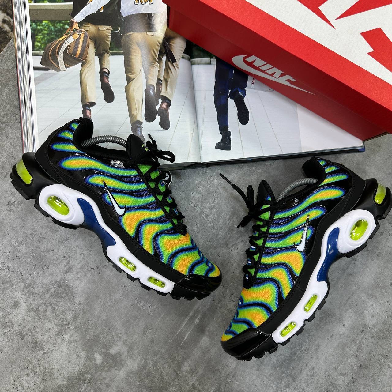 TN Trainers