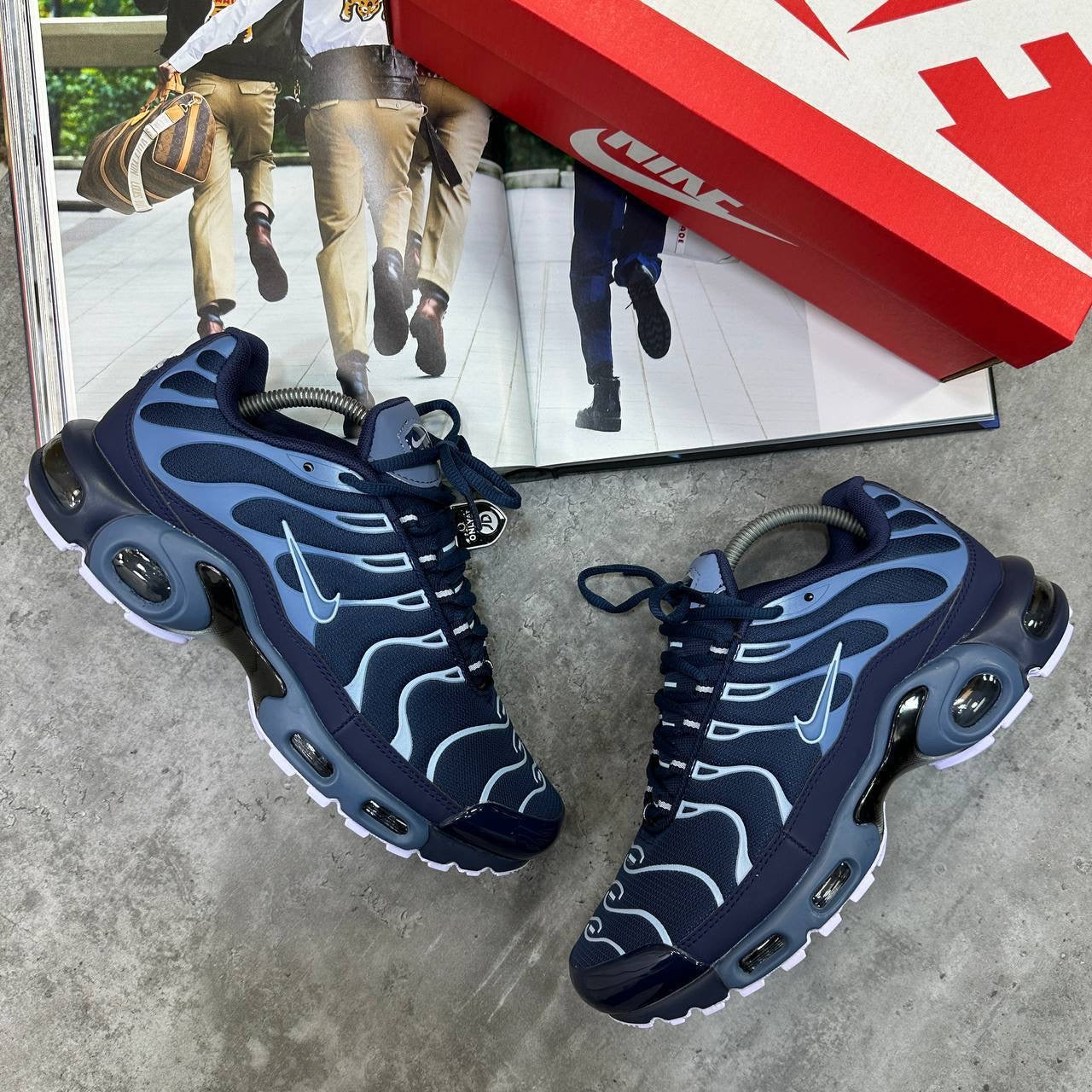 TN Trainers