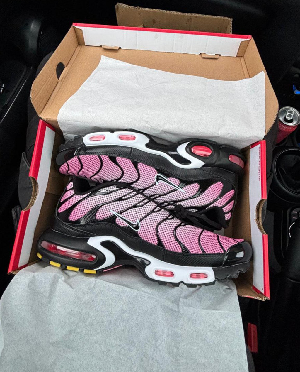 TN Trainers