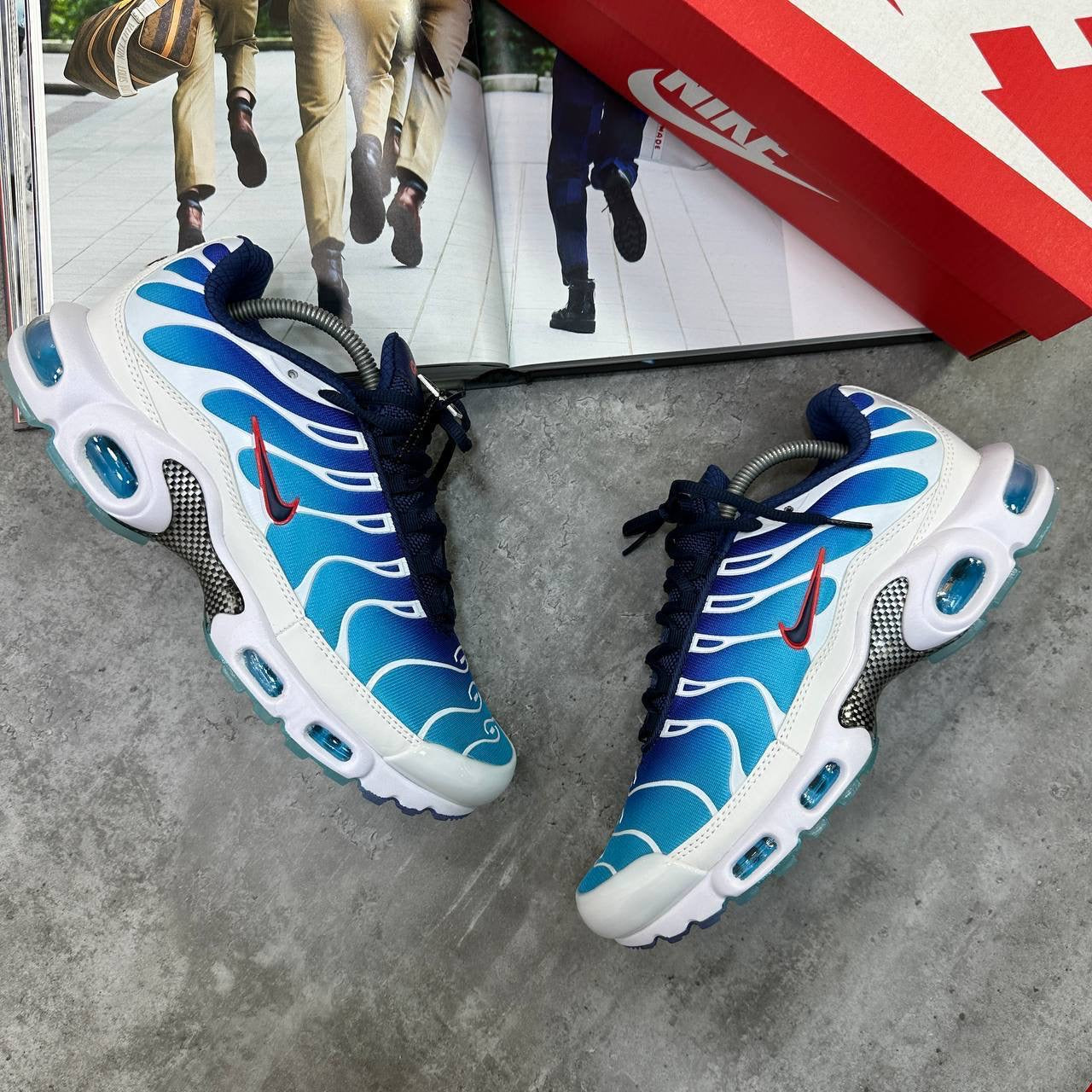 TN Trainers