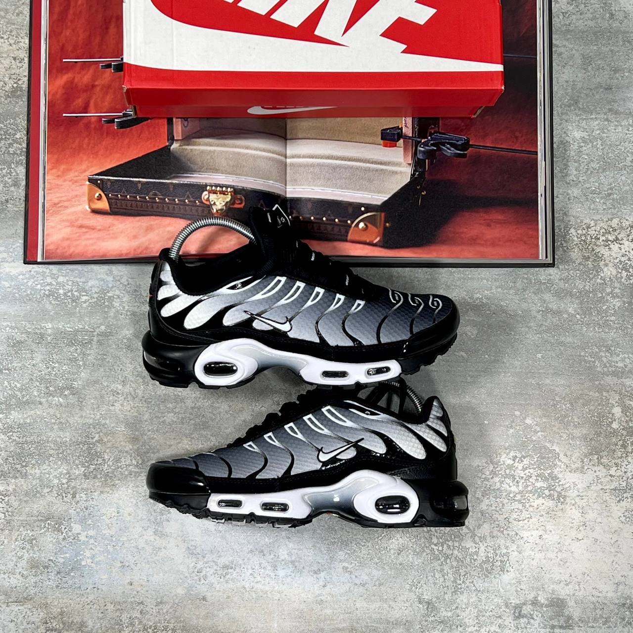 TN Trainers