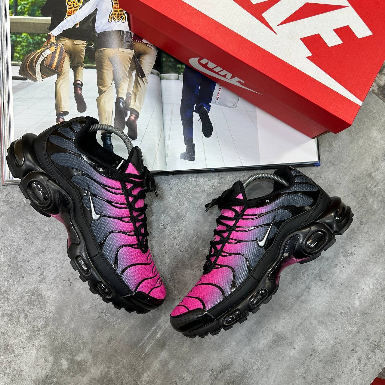 TN Trainers