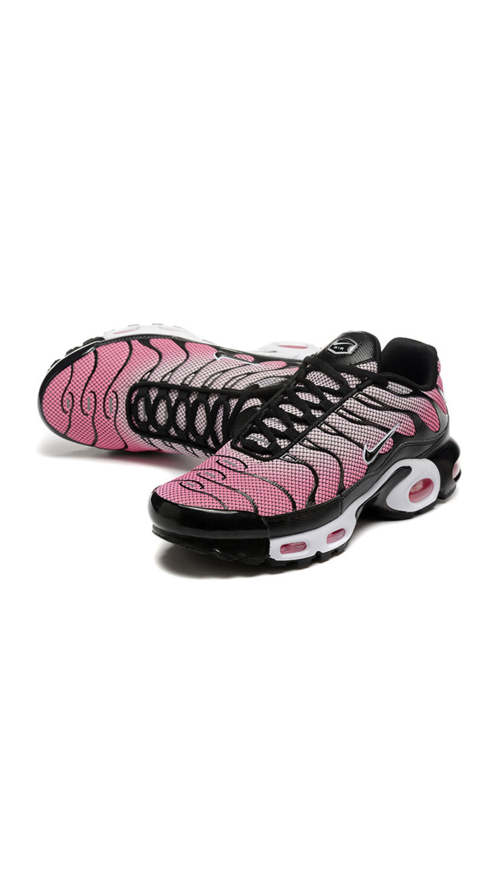 TN Trainers