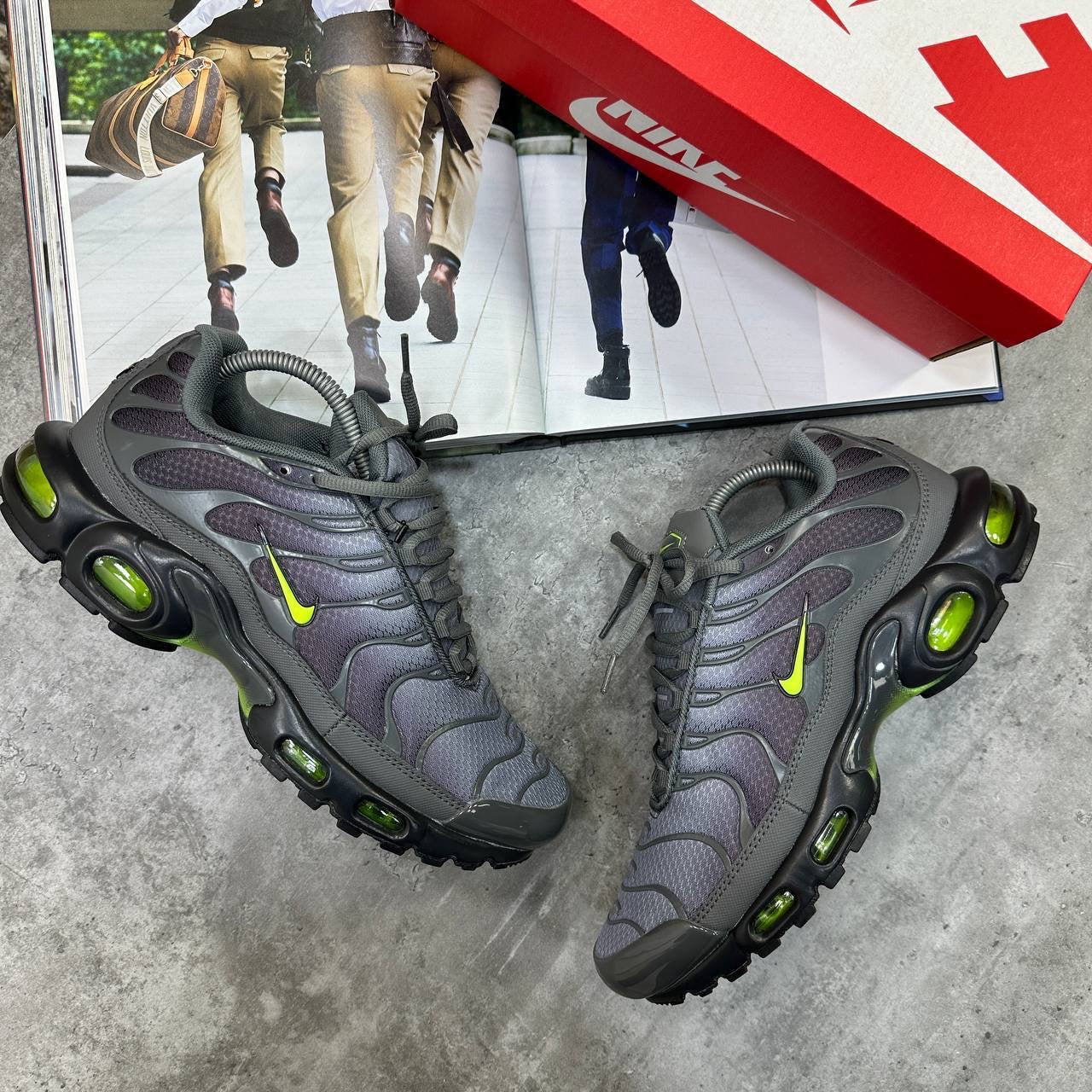 TN Trainers