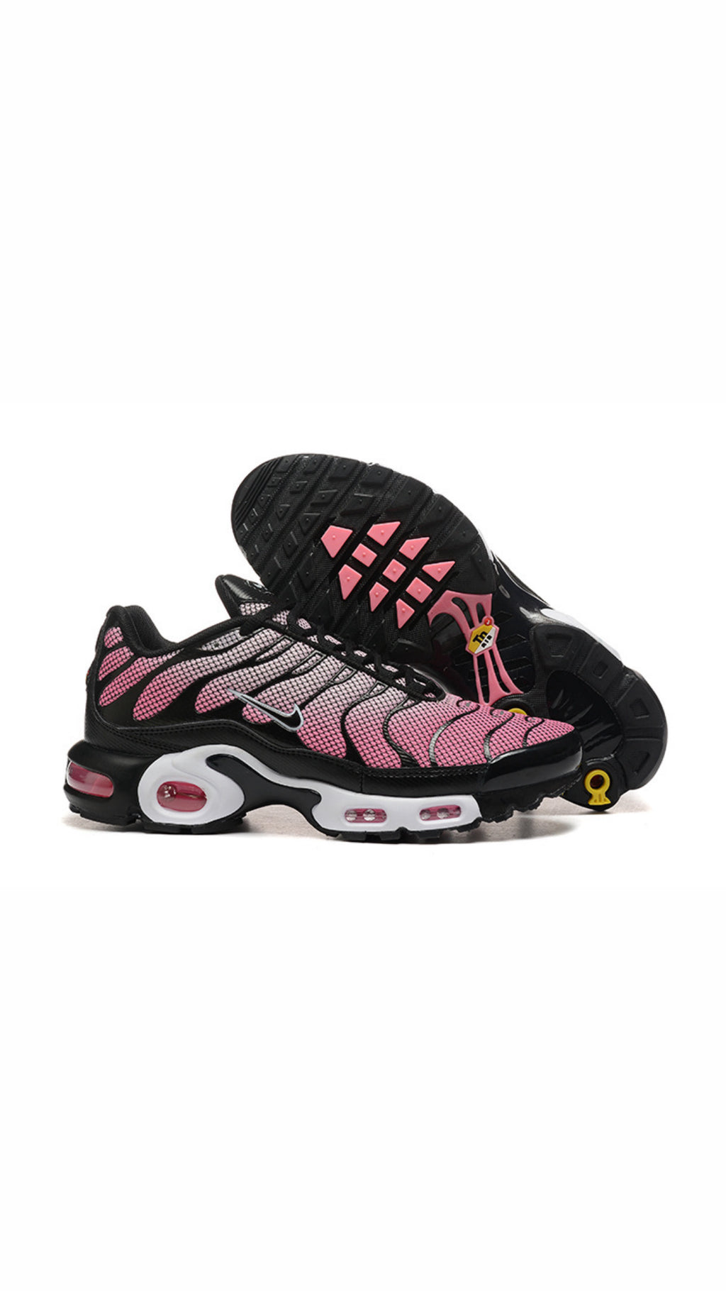 TN Trainers